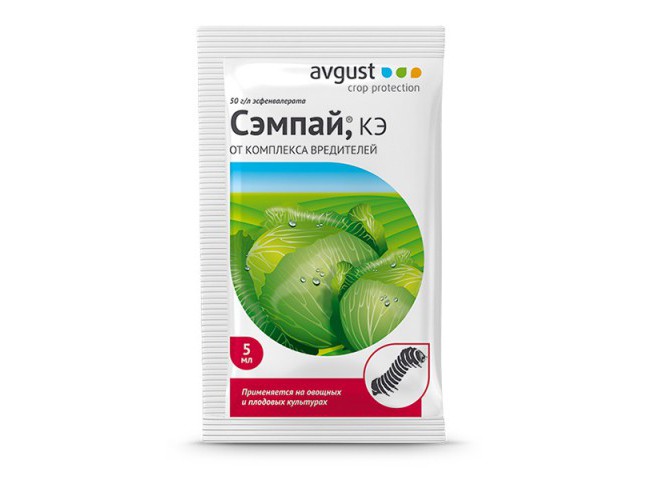 Сэмпай ампула в пакете 5 мл