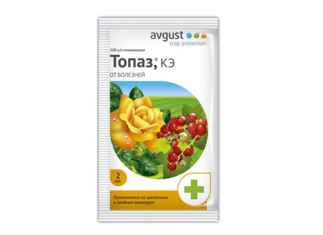 Топаз ампула в пакете 2 мл