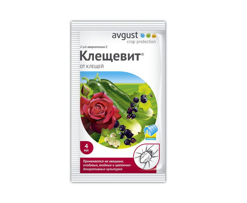 Клещевит ампула в пакете 4 мл