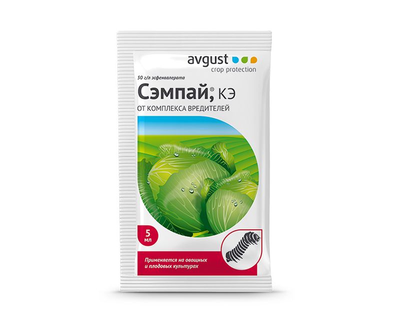 Сэмпай ампула в пакете 5 мл